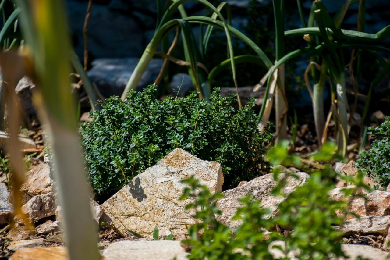 The Olive Cottage - Ithaca Vathy  Exterior foto